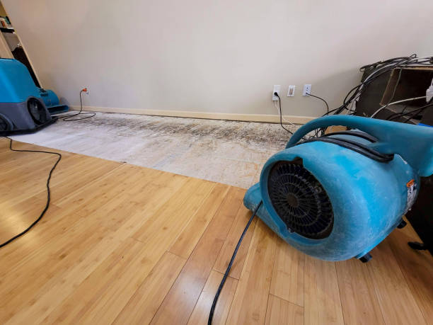 Professional Water Damage Repair technician working in Shady Cove, OR